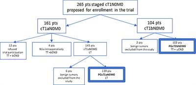 Therapeutic Strategy in Low-Risk Papillary Thyroid Carcinoma – Long-Term Results of the First Single-Center Prospective Non-Randomized Trial Between 2011 and 2015